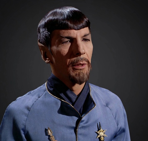 Mirror Universe